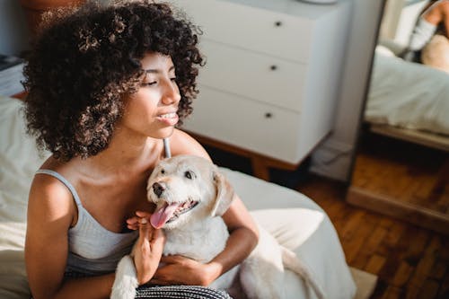 From above of smiling African American female embracing dog with tongue out while resting on bed and looking away in house