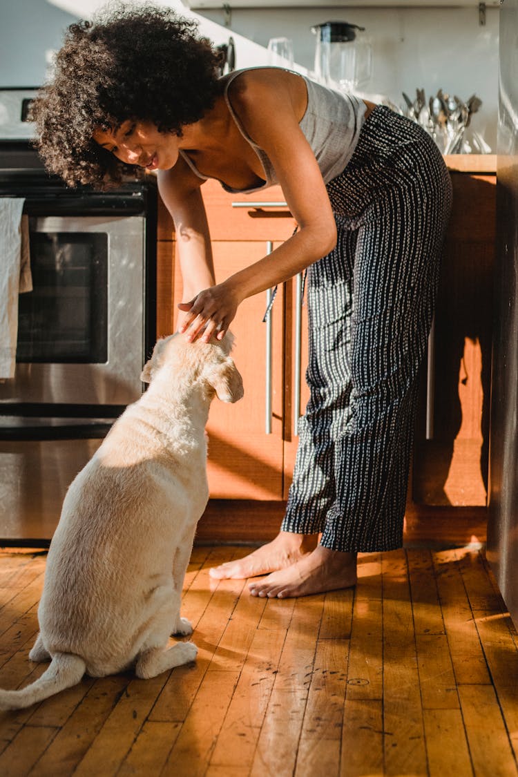 Smiling Black Woman Caressing Adorable Dog In Kitchen At Home