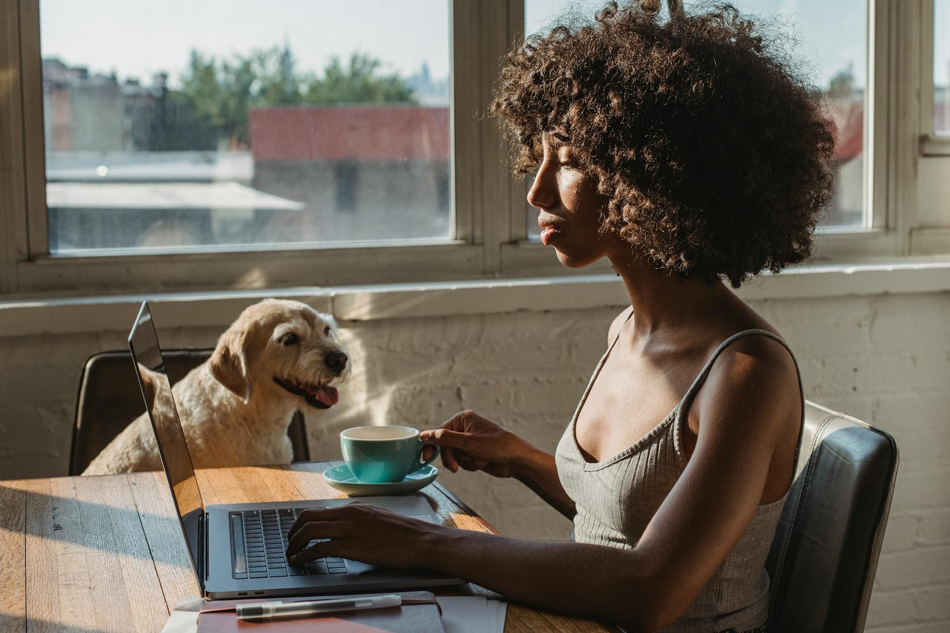 Sidovision av en ung svart kvinnlig fjärrmedarbetare med en kopp varm dryck som arbetar på en netbook nära en hund hemma