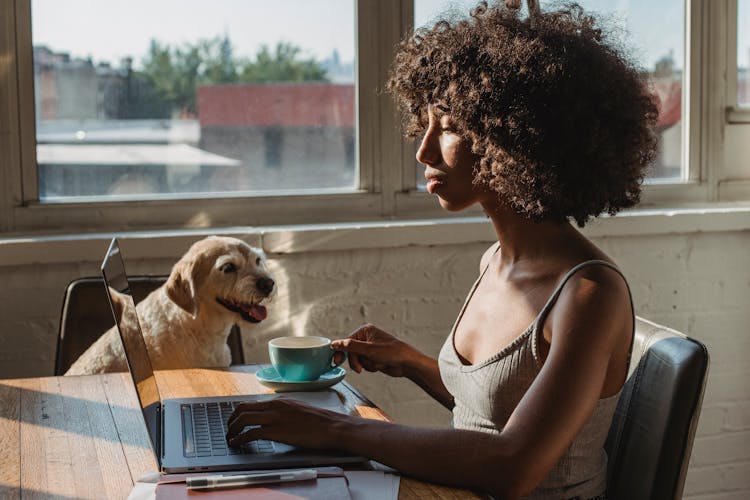Attentive Ethnic Freelancer With Coffee Typing On Laptop Near Dog