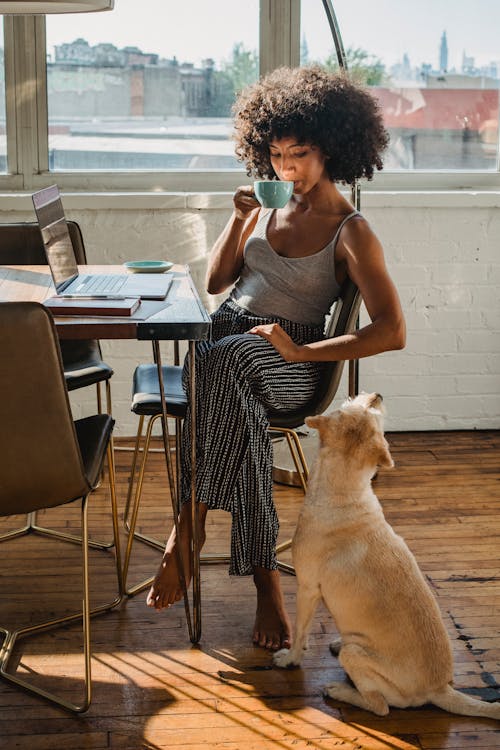 Black freelancer drinking coffee near laptop and dog indoors