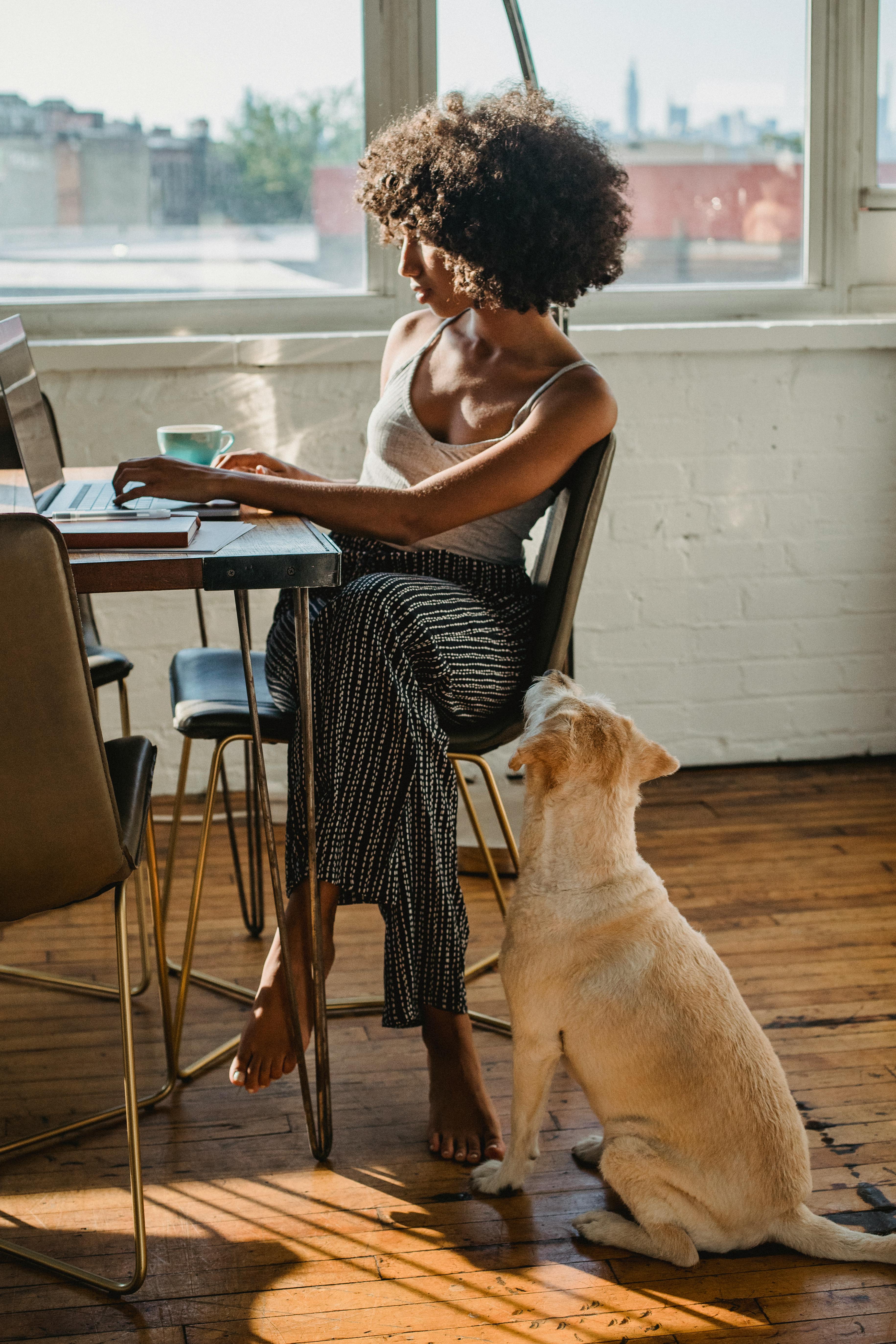 black female freelancer typing on laptop near dog at home