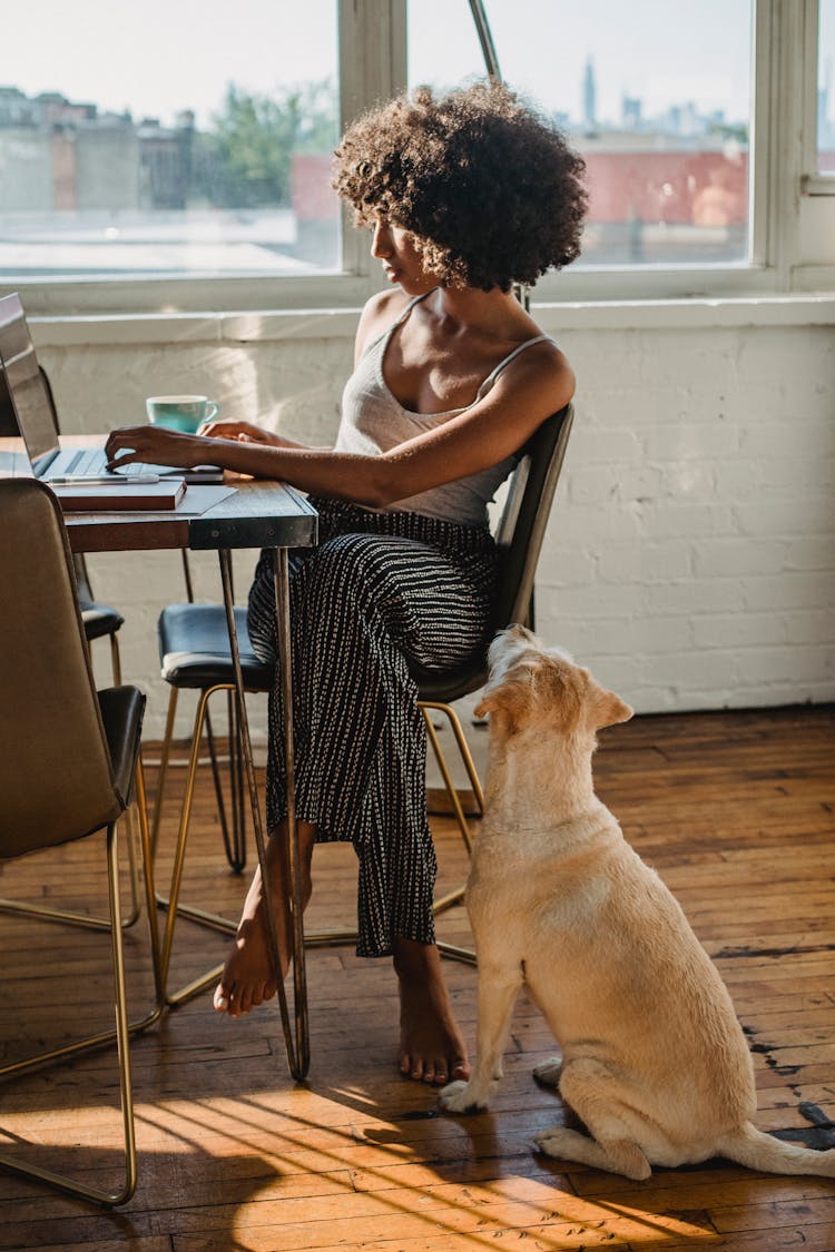 Black Female Freelancer Typing On Laptop Near Dog At Home