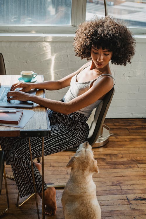 African American woman working on computer with dog near
