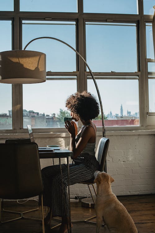 Anonymous black female freelancer using laptop near dog