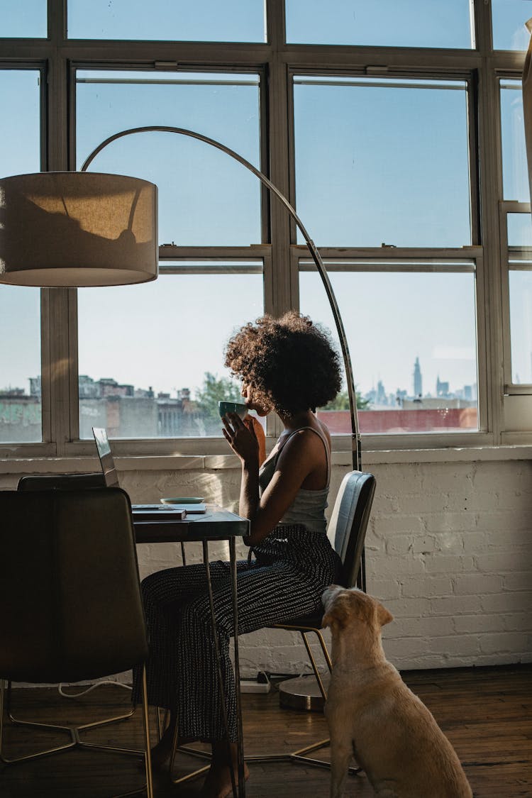 Anonymous Black Female Freelancer Using Laptop Near Dog