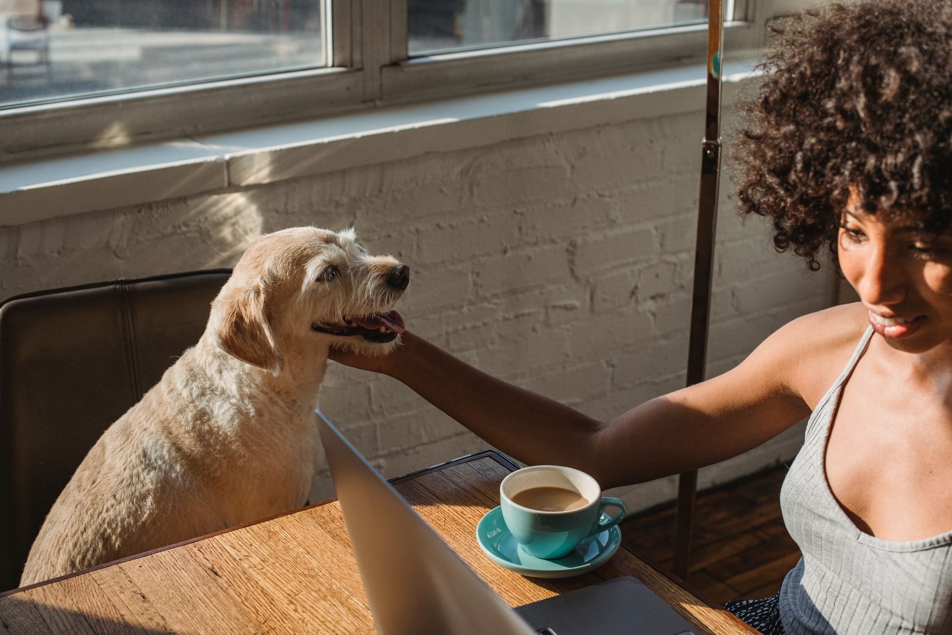 Young black female freelancer sitting at table with netbook and petting dog while drinking coffee in room