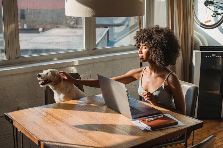 Black Woman Using Laptop Near Dog In Room