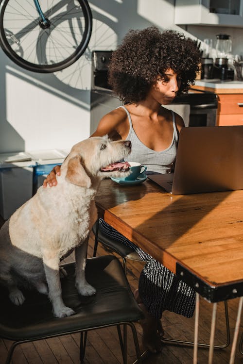 Black lady sitting with dog and computer at home