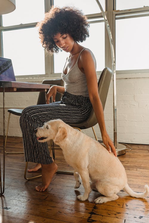 Young African American lady petting dog while sitting at table with netbook at home in daylight