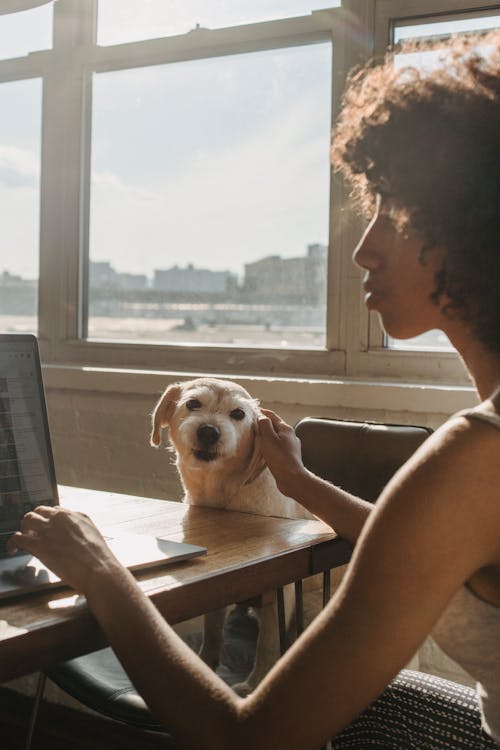African American woman working on netbook with dog at home