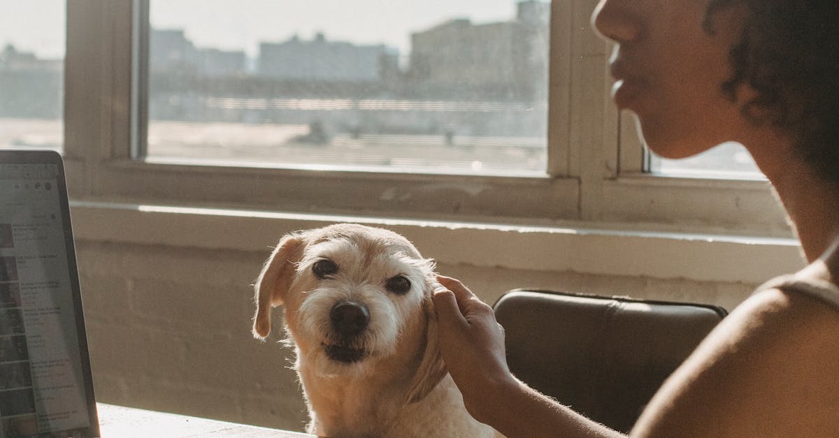 African American woman working on netbook with dog at home