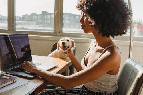 Concentrated young black woman working remotely on computer while sitting in room at table and petting dog