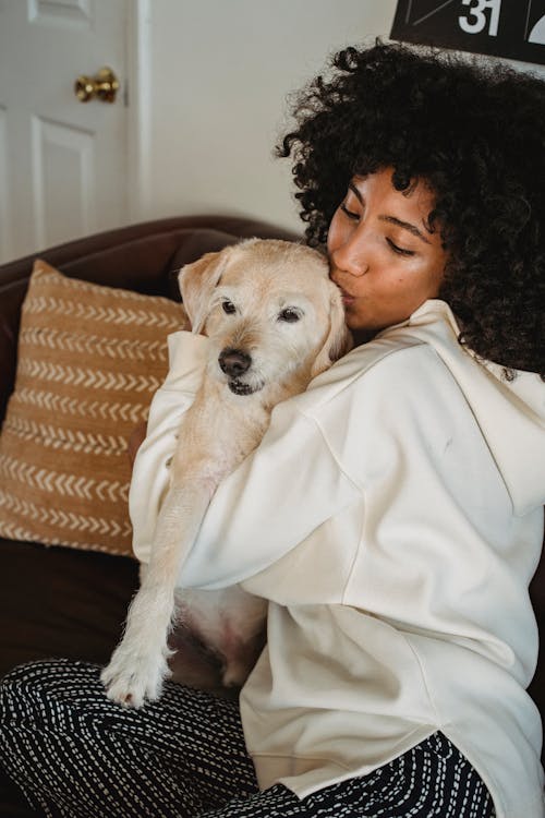 Black woman caressing adorable dog on sofa