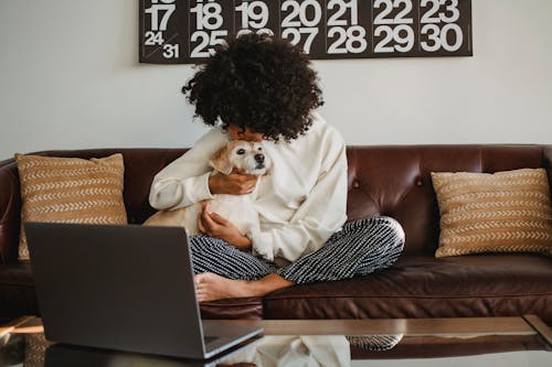 Black female freelancer playing with dog on couch