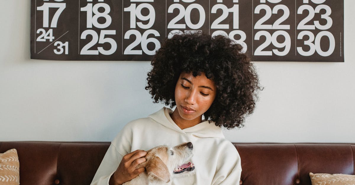 Young African American female resting on sofa with adorable dog and with laptop on table in living room