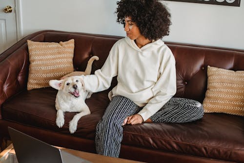 Black lady stroking dog on sofa