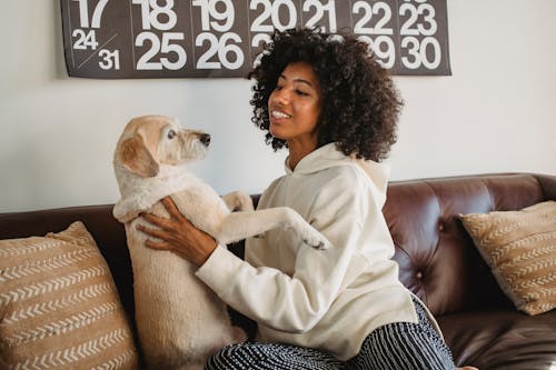 Smiling young African American woman cuddling with dog while sitting on sofa in casual clothes at home