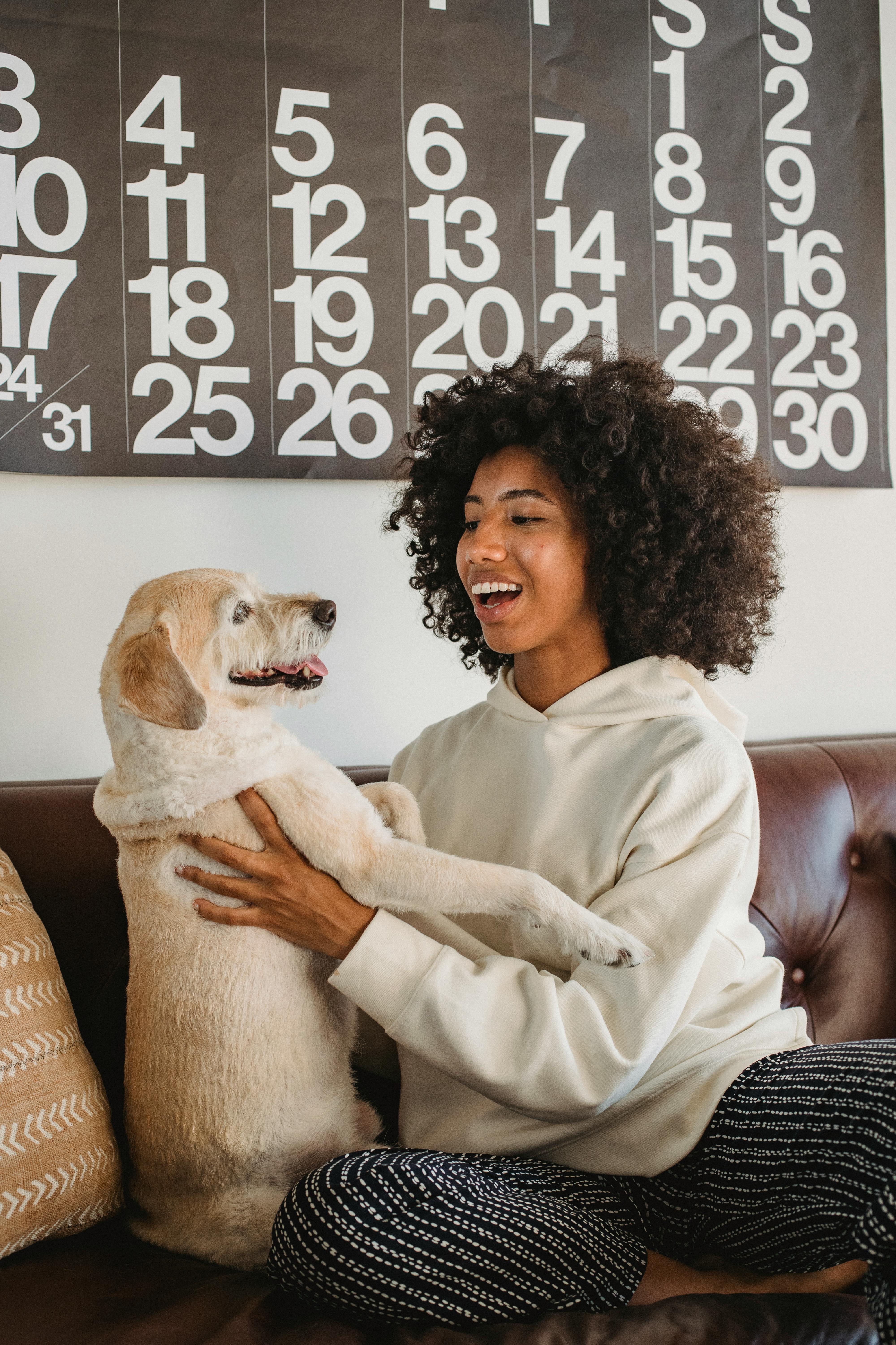 happy african american woman playing with dog at home