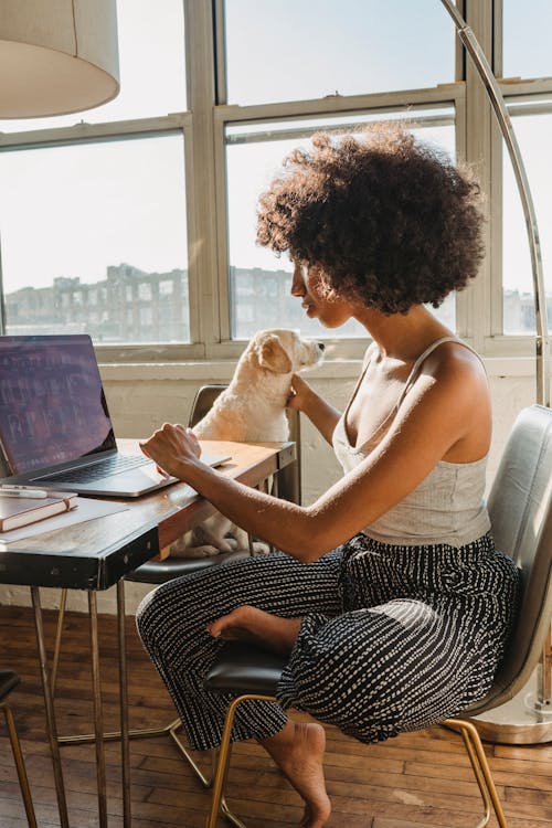 Concentrated young African American lady working remotely on netbook while sitting on chair at table and petting dog at home