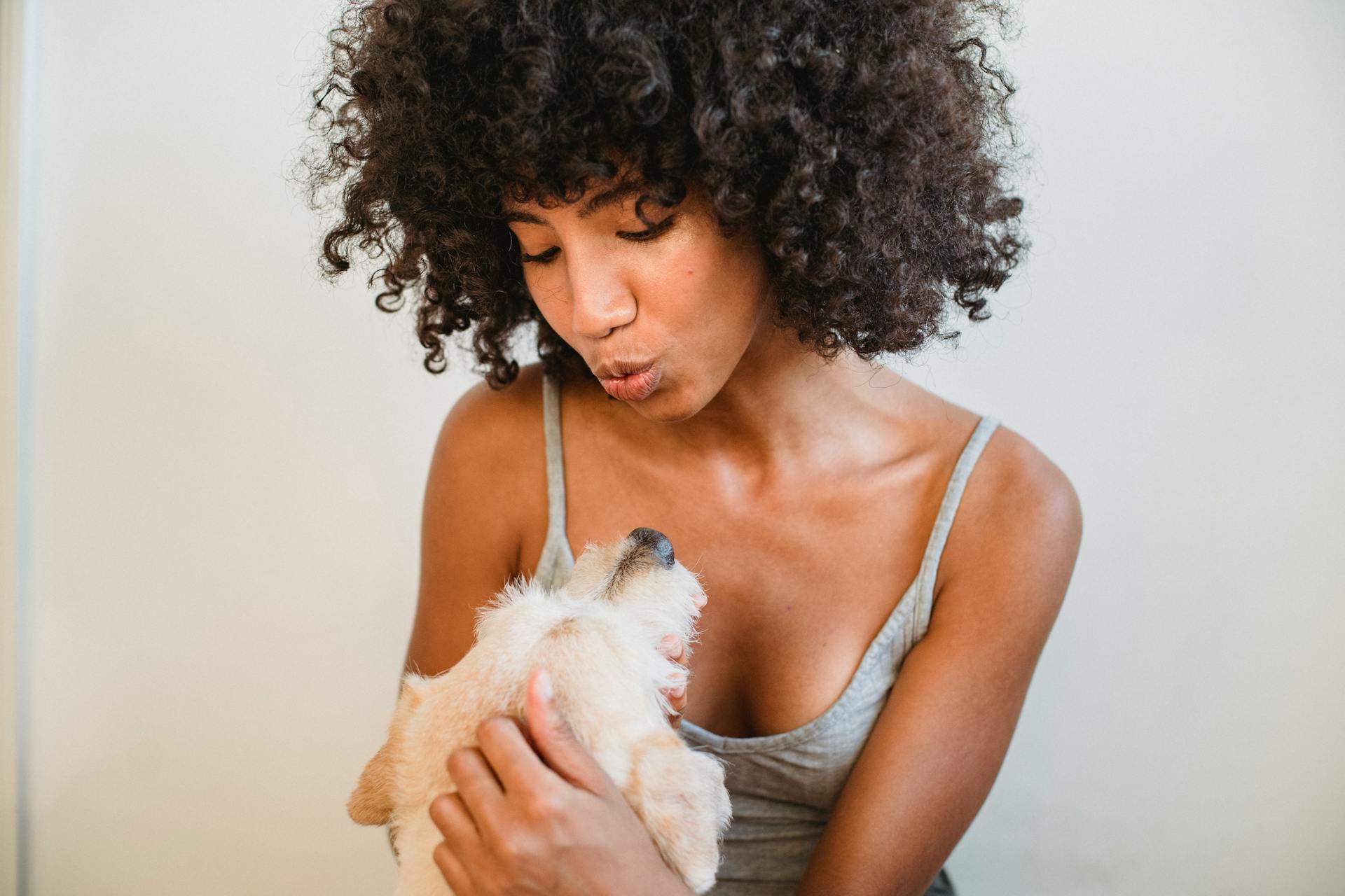 Een vrolijke Afro-Amerikaanse vrouw in huishoudelijke kleren knuffelt een schattig hondje tegen een witte muur thuis.