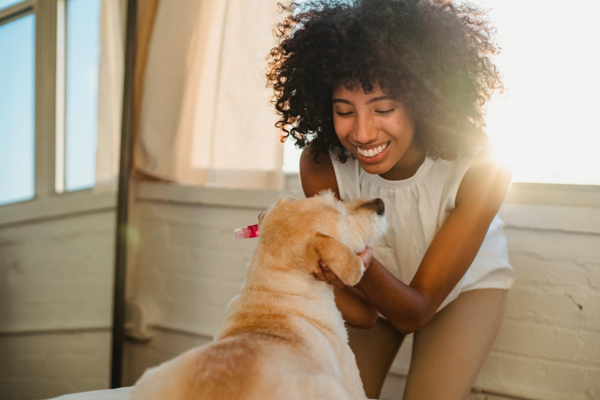 Cheerful black woman stroking dog at home