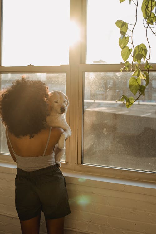 Free Back view of anonymous black female in domestic clothes embracing cute puppy while standing near window and enjoying sunny morning Stock Photo
