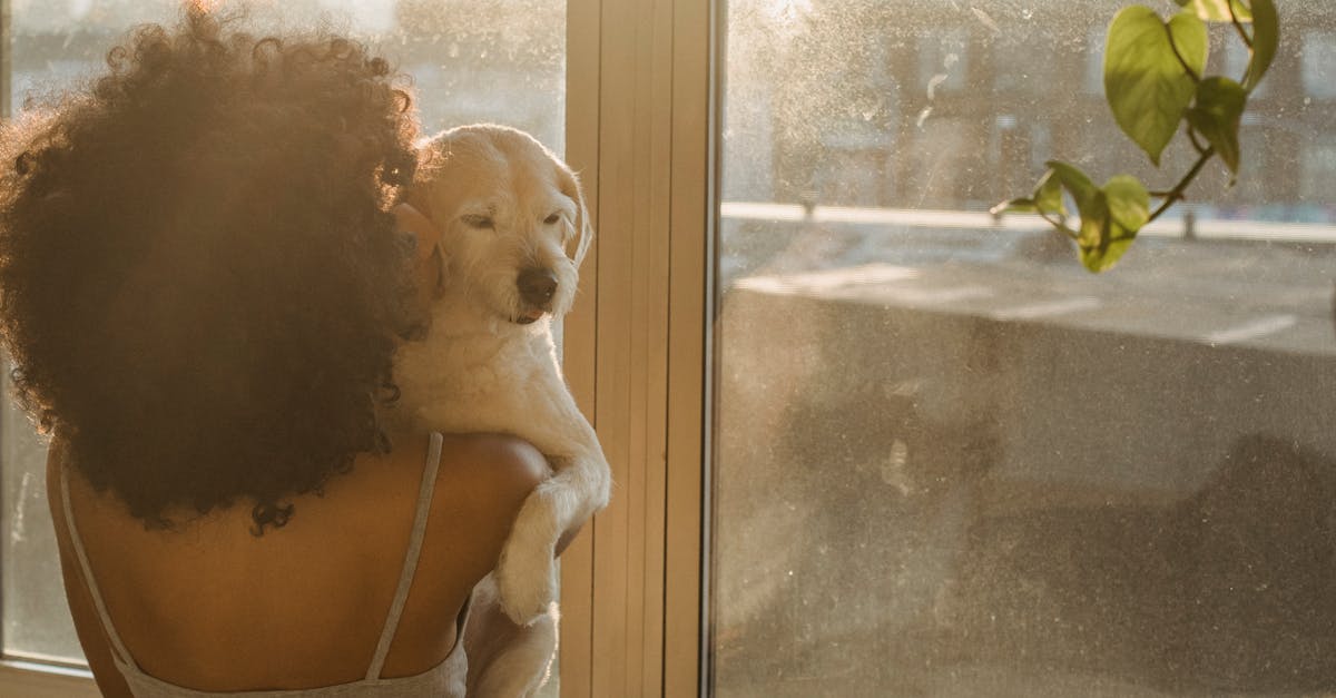 Back view of anonymous black female in domestic clothes embracing cute puppy while standing near window and enjoying sunny morning