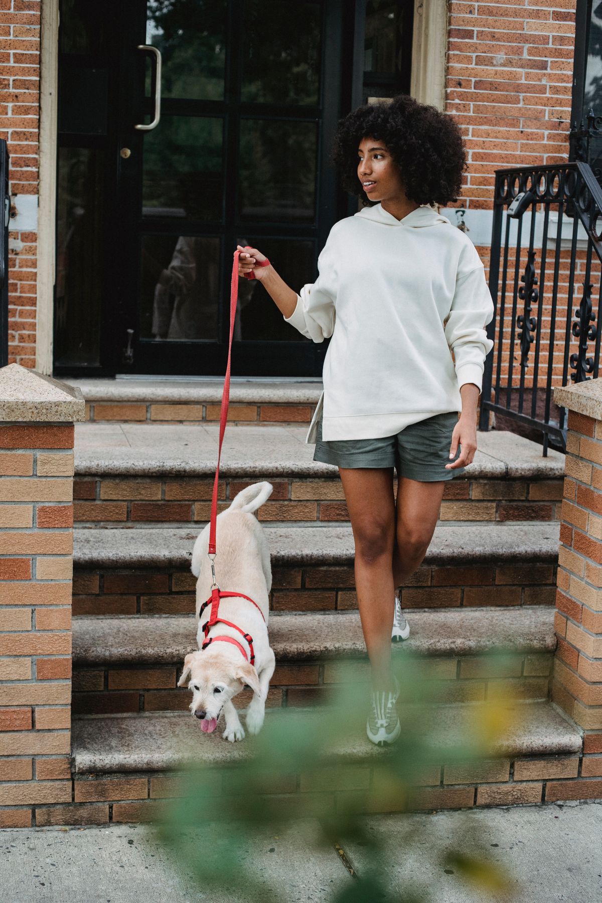 A pet owner enjoying a walk with their dog outdoors