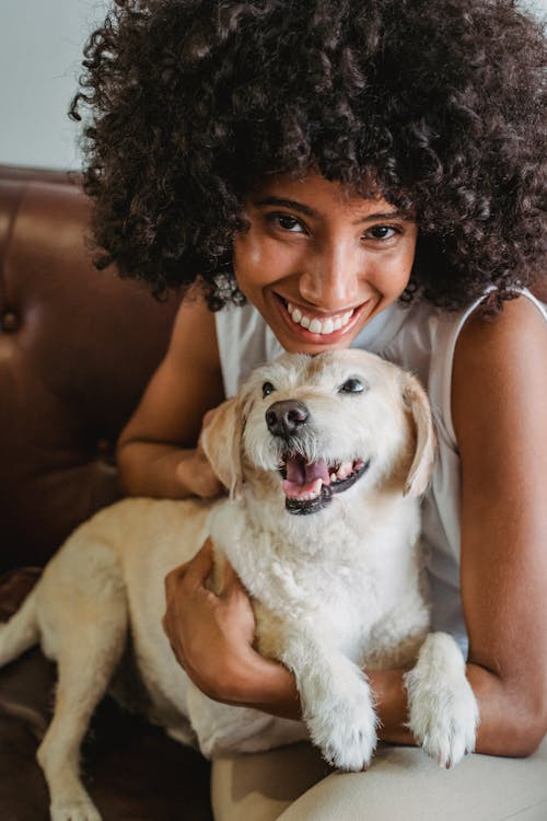 Cheerful African American charismatic female cuddling and hugging adorable dog while resting on sofa and looking at camera