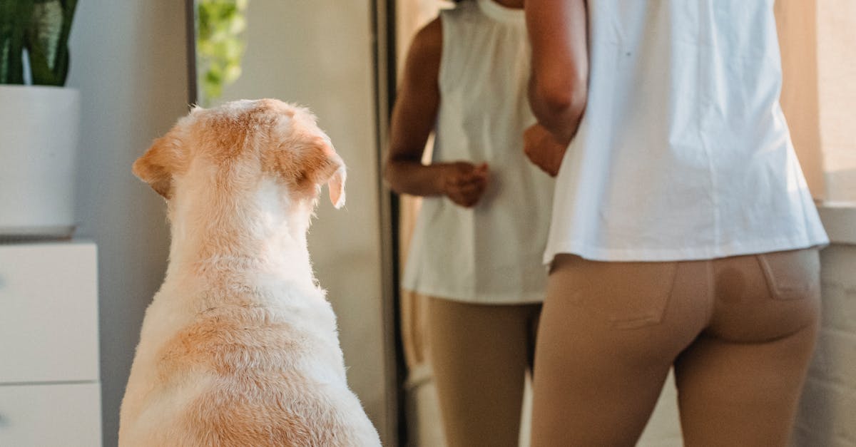 Woman getting ready for walk with dog