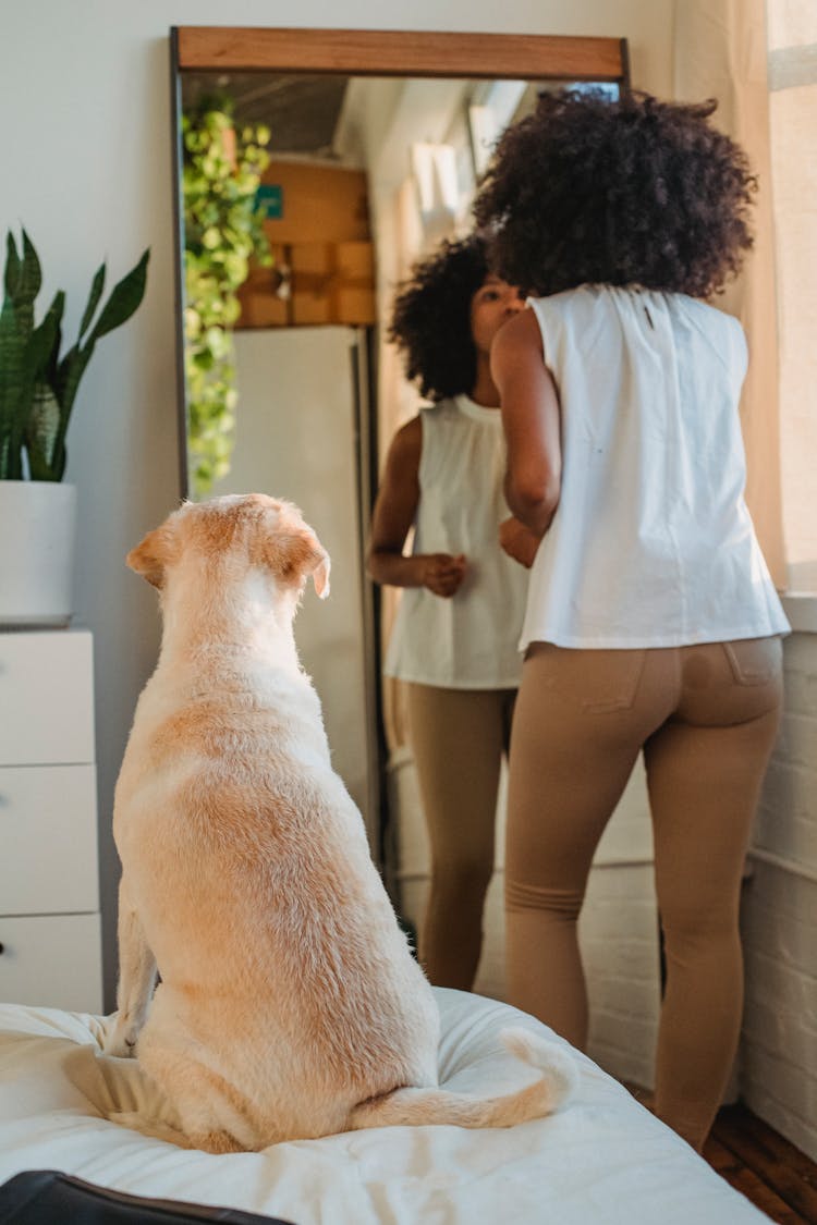 Woman Getting Ready For Walk With Dog