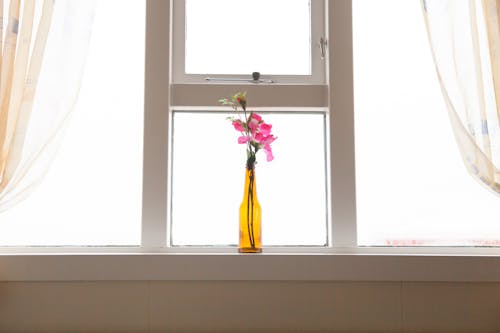 Flower Vase on Window Sill