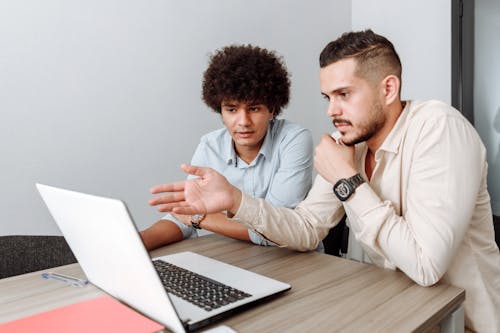 Free Men Looking at a Laptop
 Stock Photo