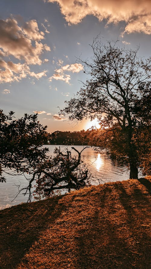 Immagine gratuita di crepuscolo, lago, lakeshore