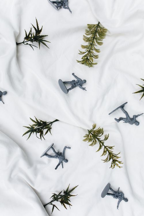 Free Flat lay of toy soldiers and leaves on white fabric background. Stock Photo