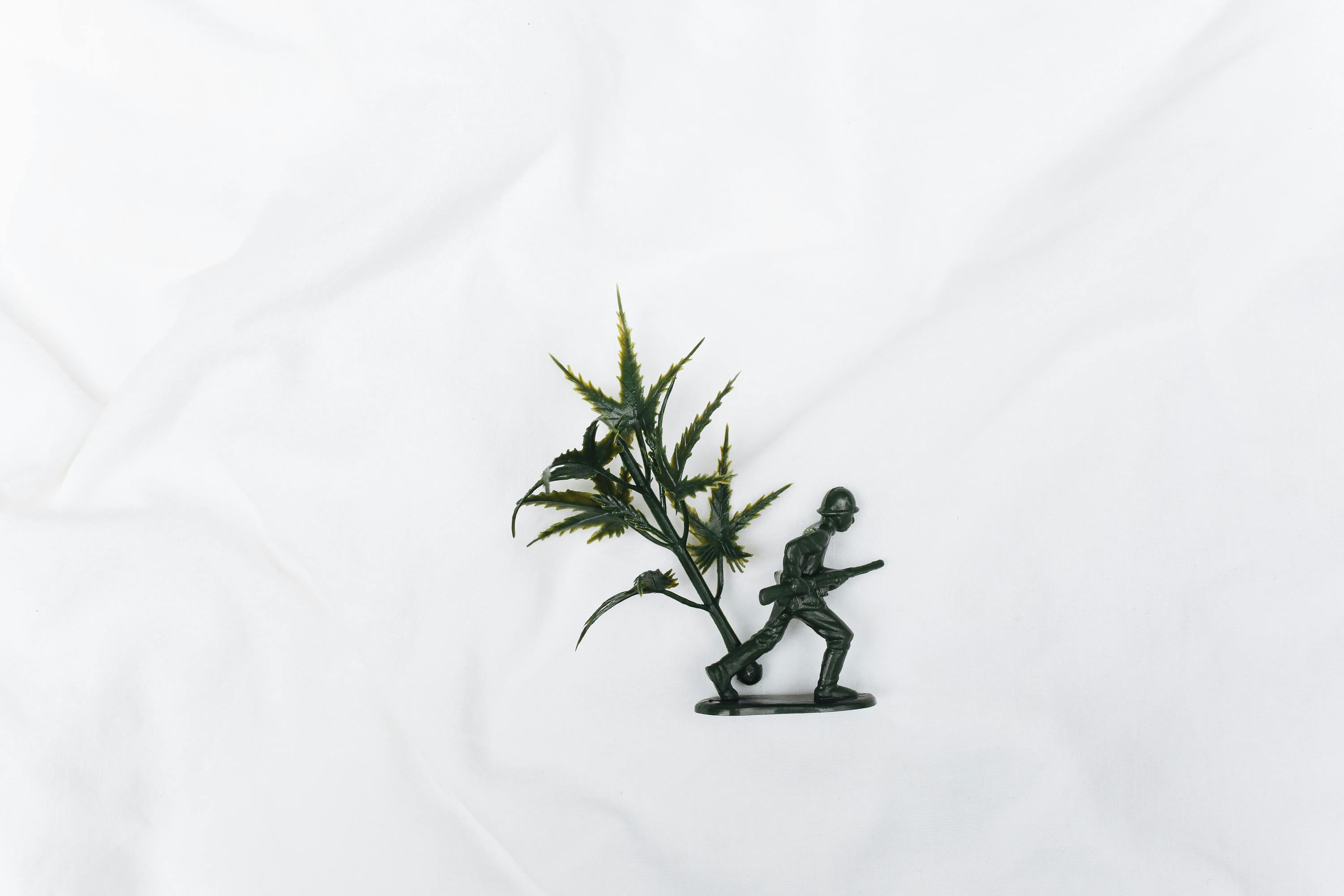 toy soldier against white background