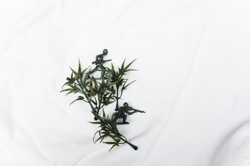 Free Artistic arrangement of toy soldiers and artificial greenery on a smooth white fabric background. Stock Photo