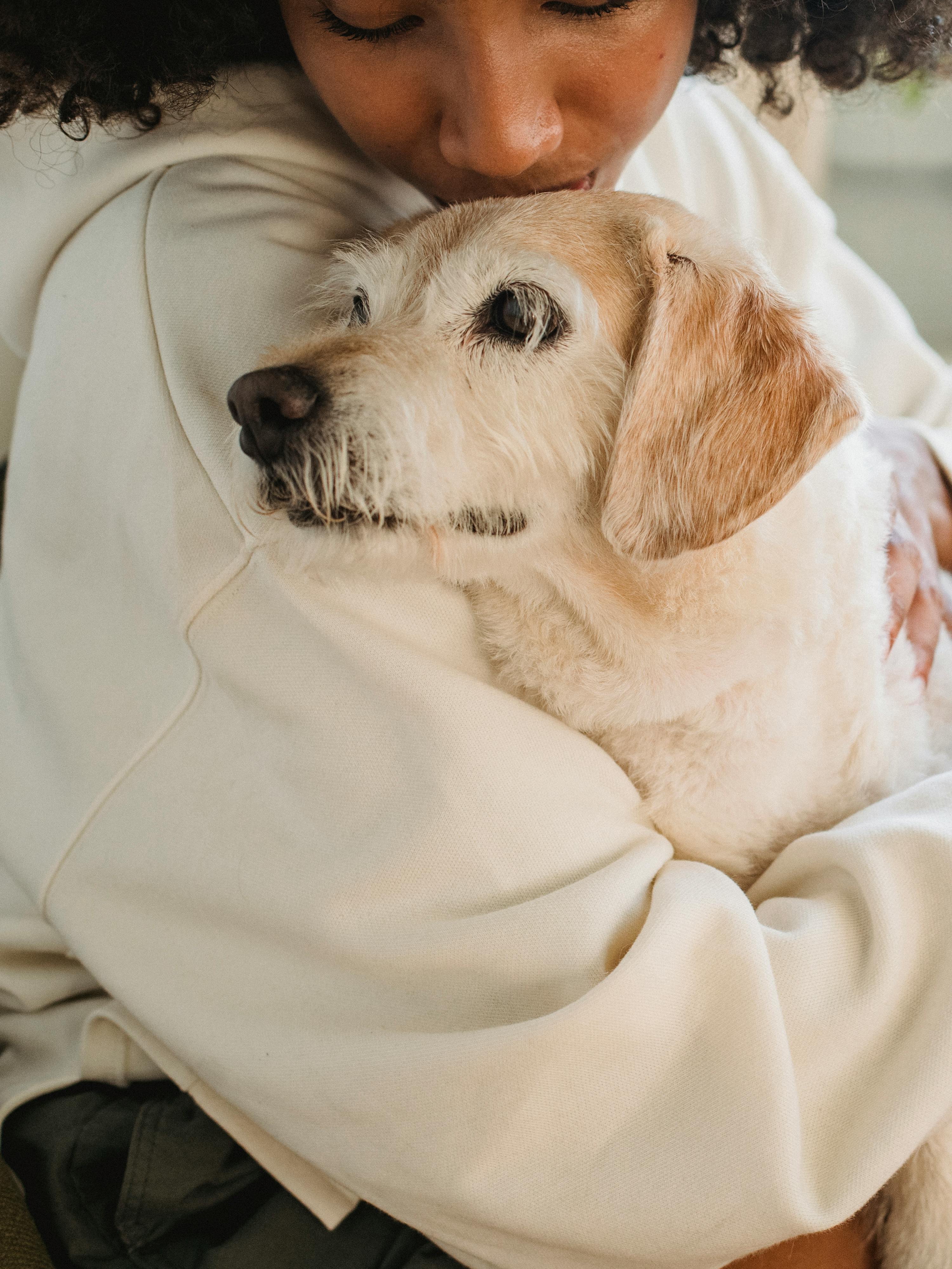 crop black woman cuddling obedient puppy