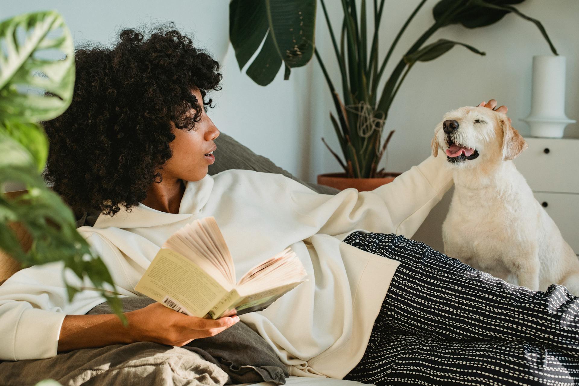 Afro-Amerikaanse vrouw in huishoudelijke kleding rust op een comfortabele bank met een boek en streelt een schattige puppy