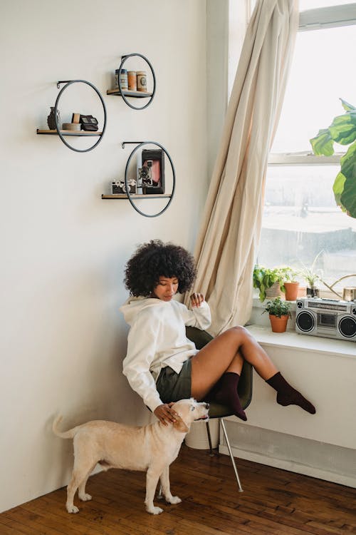 Donna Afro Americana Che Accarezza Il Cane In Appartamento