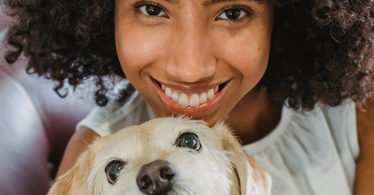 Cheerful African American female cuddling adorable puppy while smiling and looking at camera