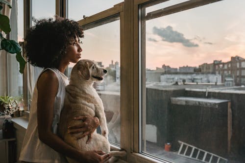 Základová fotografie zdarma na téma afroameričanka, černoška, chmýří