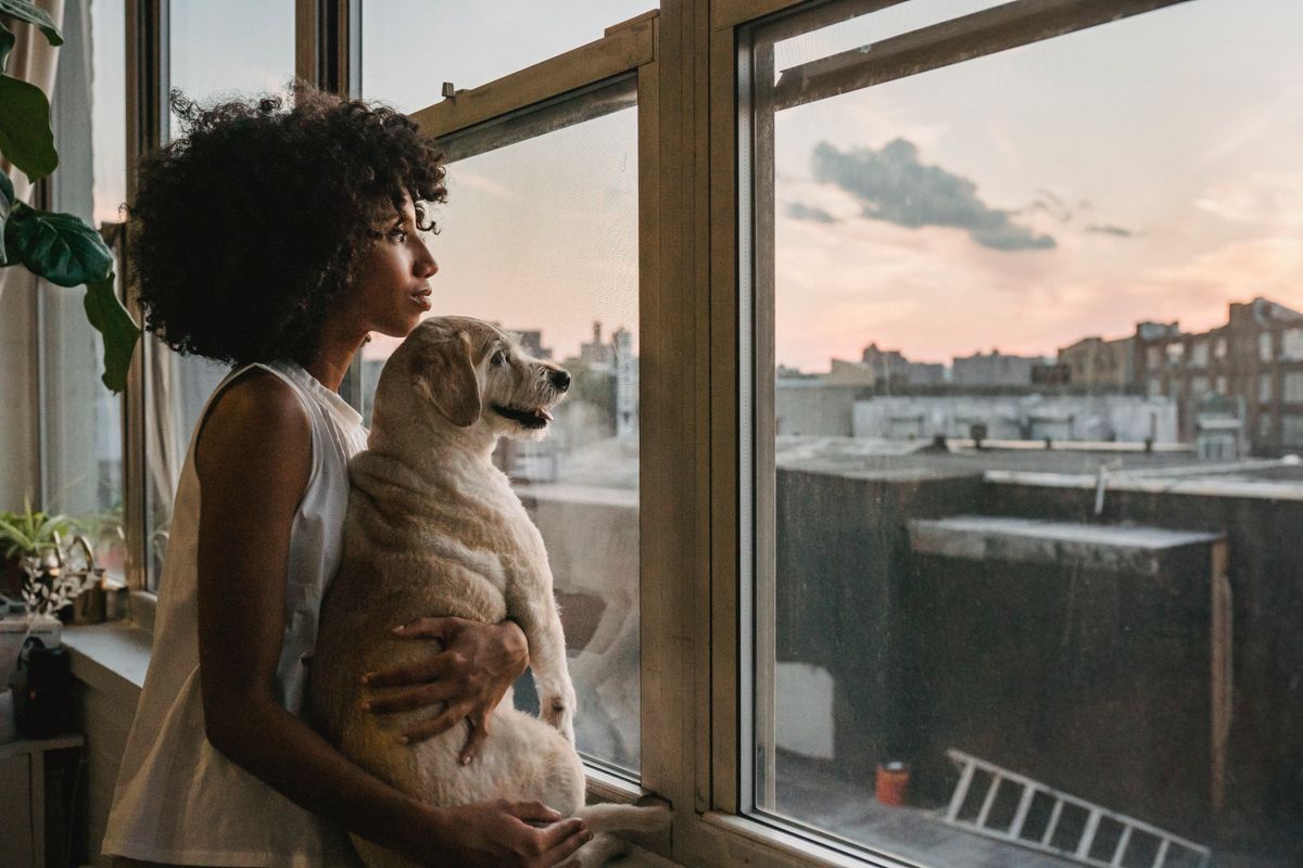 A traveler looking out a window over the city at dusk