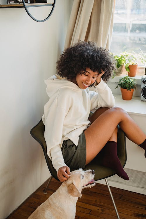 Free Side view of cheerful African American female in stylish outfit resting on chair while caressing purebred puppy Stock Photo