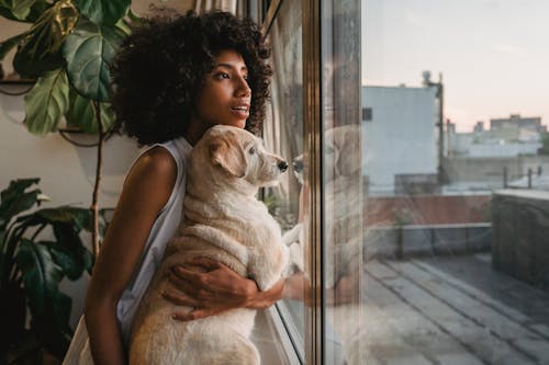 Side view of charismatic African American female in casual clothes holding dog while enjoying view from window at home