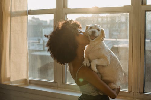 Black woman kissing cute purebred dog