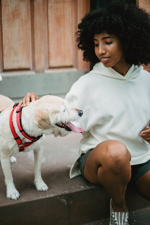 Siyah Kadın Sokakta Evcil Köpek Okşayarak