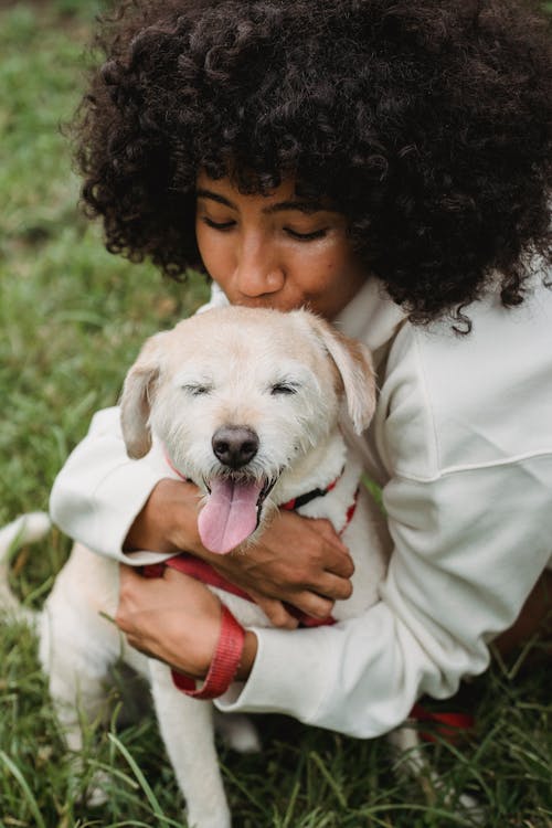 Crop African American female embracing and kissing adorable dog while having stroll on grass