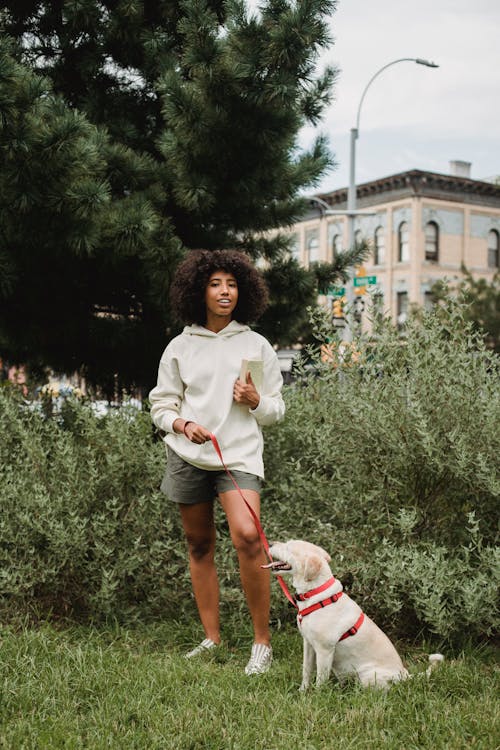 有服从的狗的愉快的年轻黑人夫人站立在象草的草坪在公园